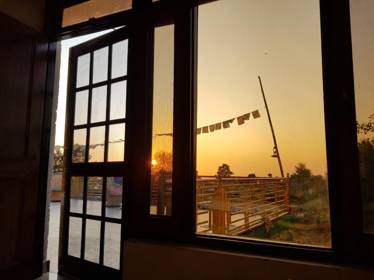 Bir Nest Hostel Luaran gambar